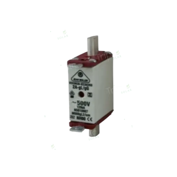 Keto Fuse (KETO-00-125A)
